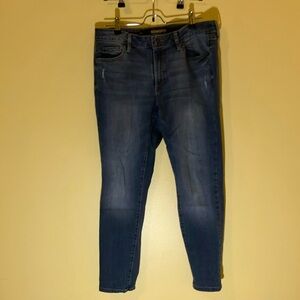 Sonoma Blue Skinny Jeans with Modern Wash